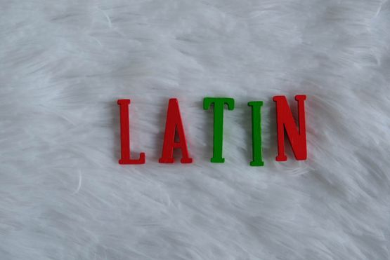 Latin Translation 